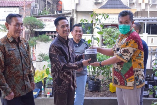 ASN Palembang Diminta Tanam Cabai di Rumah Bantu Tekan Inflasi