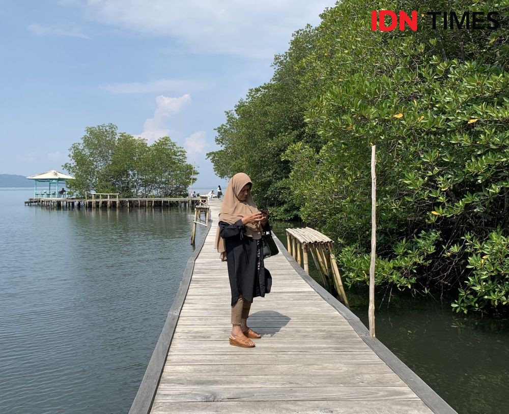 Bandar Lampung Bakal Punya Wisata Jalan Kaki Hutan Mangrove