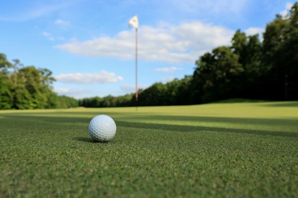 4 Cara Merawat Rumput Golf supaya Tumbuh Subur dan Rapi, Sudah Tahu?