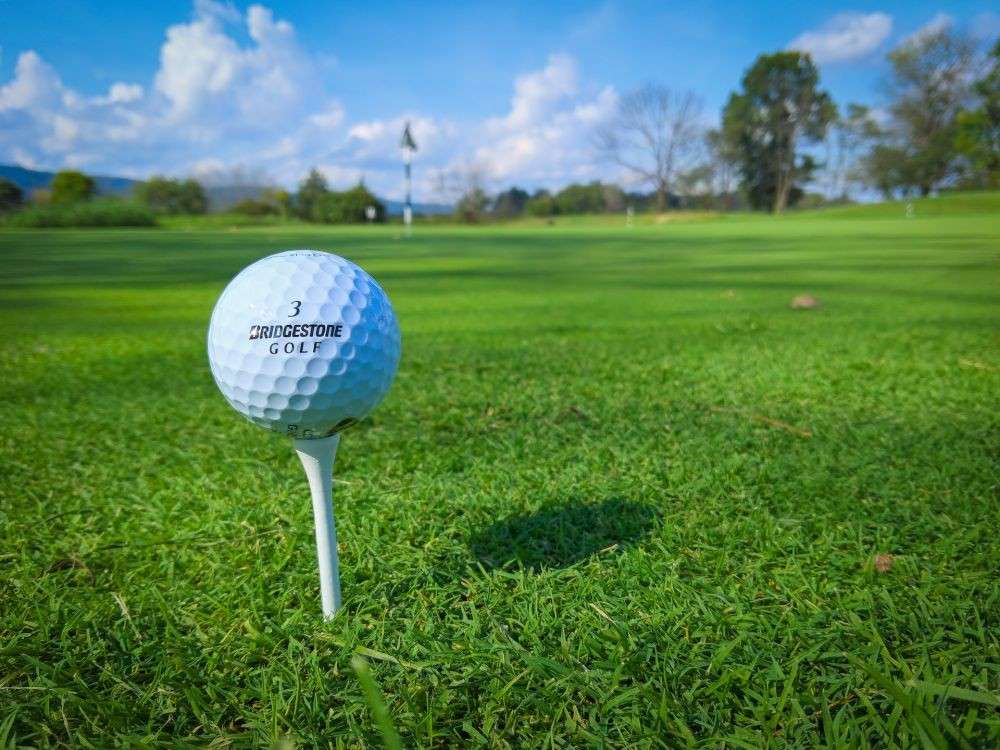 4 Cara Merawat Rumput Golf supaya Tumbuh Subur dan Rapi, Sudah Tahu?