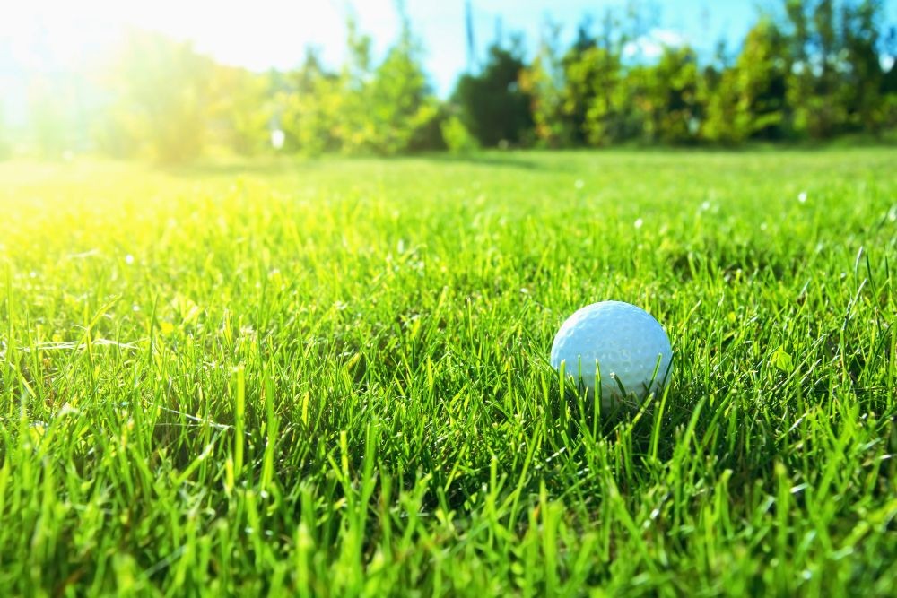 4 Cara Merawat Rumput Golf supaya Tumbuh Subur dan Rapi, Sudah Tahu?
