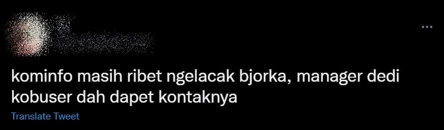 10 Celetukan Kocak Warganet Ungkap Identitas Bjorka