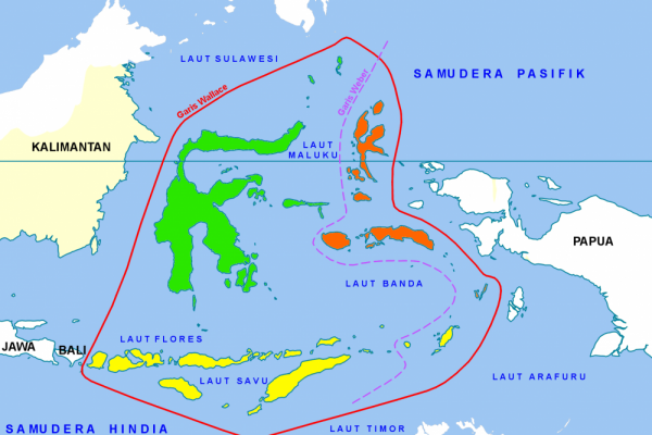 Simak 3 Zona Persebaran Flora Dan Fauna Di Indonesia