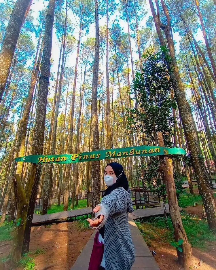 Wisata Hutan Pinus Mangunan Dlingo: Lokasi, Rute, Harga Tiket dan Tips