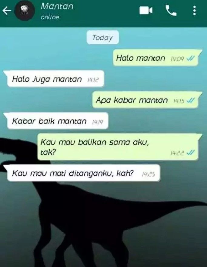 10 Chat Gagal Ngajak Balikan Mantan