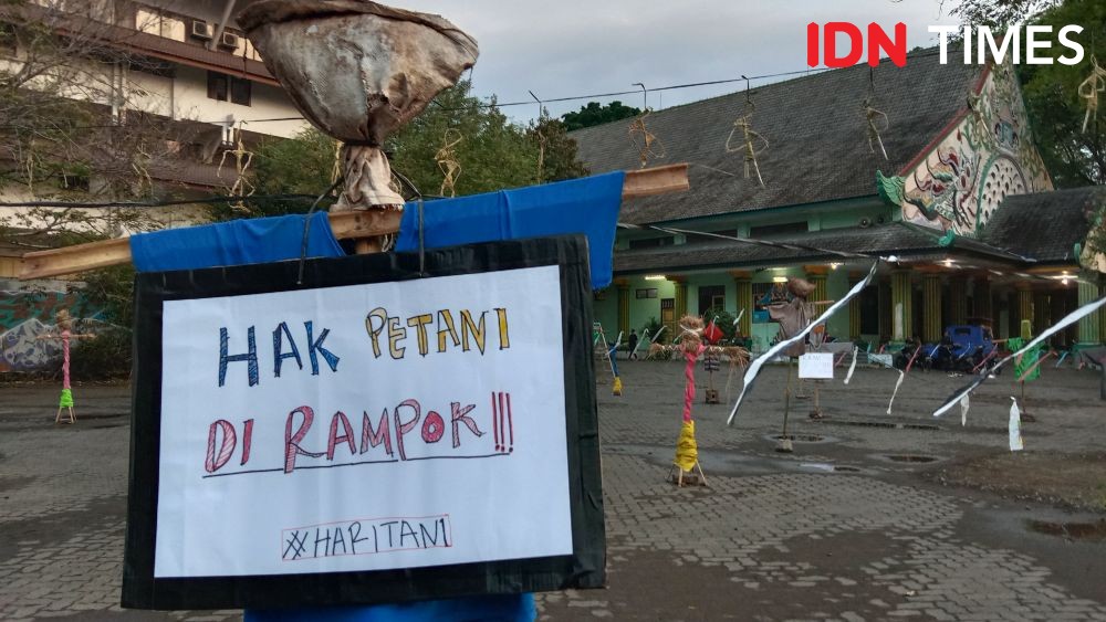 Sawah Kian Menyusut, Memedi Sawah di Semarang Ditancapkan ke Paving