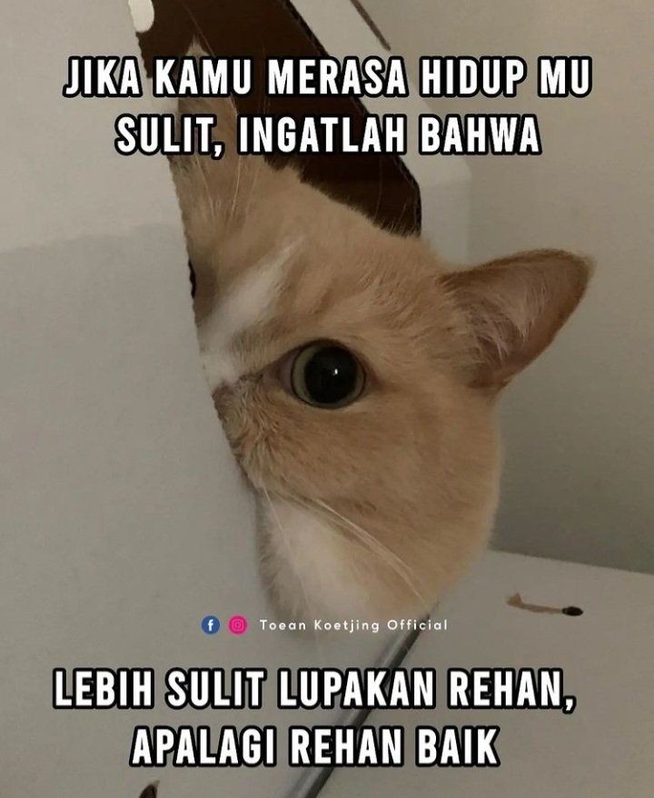 10 Meme Sulit Lupakan Rehan Ini Kocaknya Terngiang Ngiang