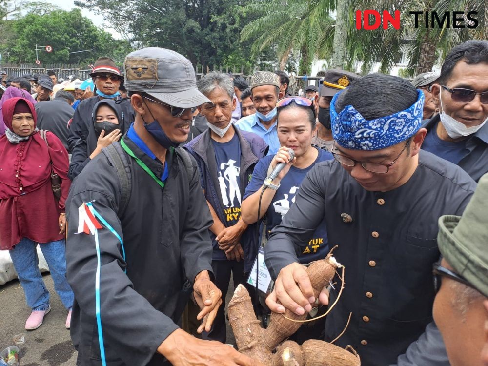 Petani Diminta Garap Lahan Terbengkalai, Ridwan Kamil Bujuk BUMN