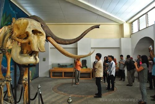 5 Rekomendasi Wisata Museum di Semarang, Dijamin Kamu Tambah Pintar 