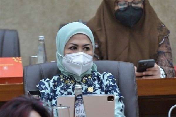 Profil Intan Fauzi Anggota Komisi Vi Dpr Ri