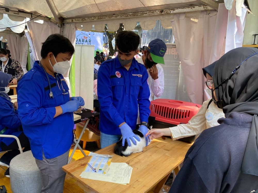Ada 2.000 Vaksin, Pemkot Bandar Lampung Vaksinasi Rabies Massal Gratis