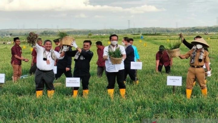 Menteri Pertanian Janji Beli Kedelai Petani Rp10 Ribu per Kilo
