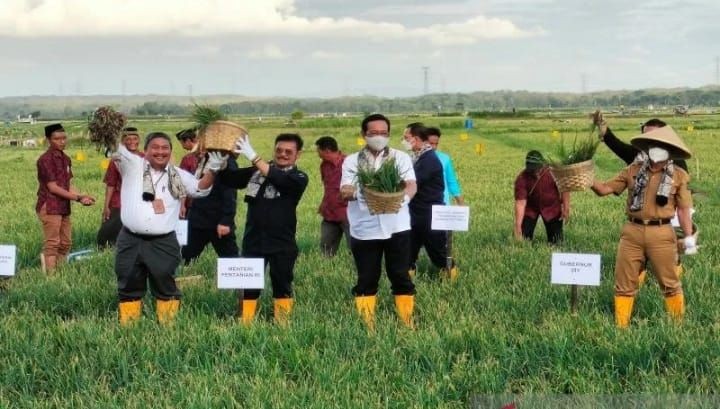 Menteri Pertanian Janji Beli Kedelai Petani Rp10 Ribu per Kilo   