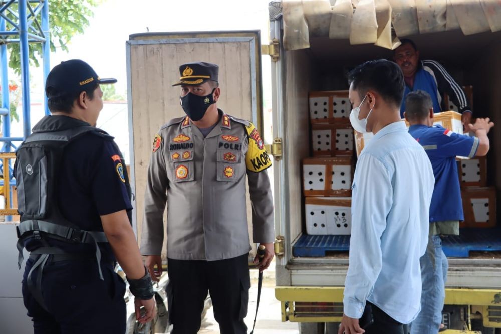 Polisi Gagalkan Penyelundupan 2,1 Ton Kepiting dari Balikpapan