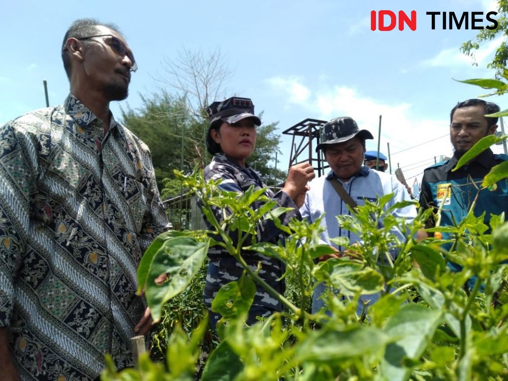 Jadi 'Tambang Emas', Lahan Pasir Tak Boleh Diperjualbelikan