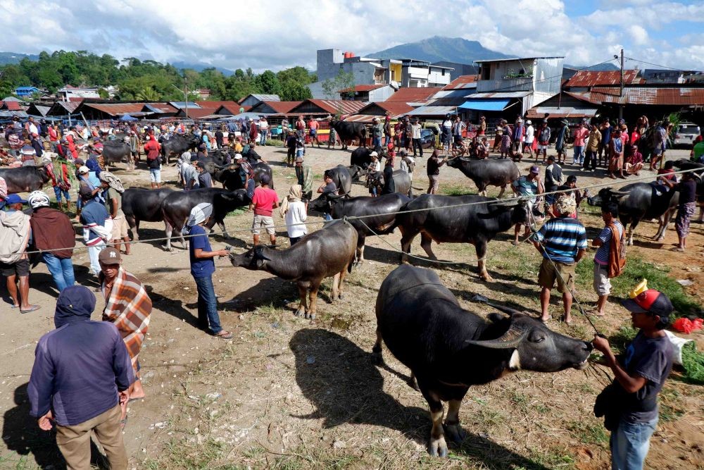 [FOTO] Geliat Wisata Tana Toraja di Tengah Upacara Kedukaan