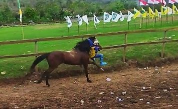 Koalisi Setop Joki Anak Keberatan Pordasi Paksakan Lomba Pacuan Kuda