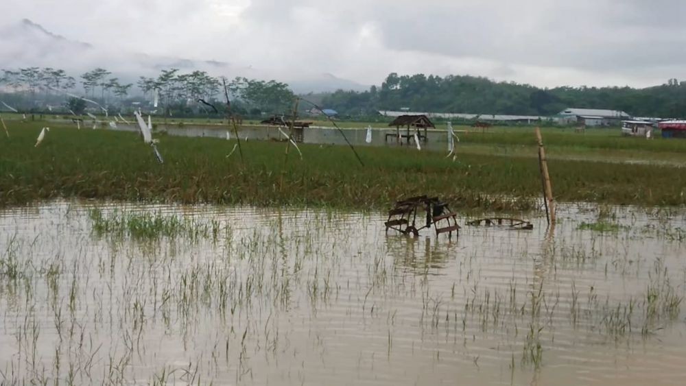 Sudah Dua Pekan Banjir di Dusun Bedalem Tulungagung Tak Kunjung Surut