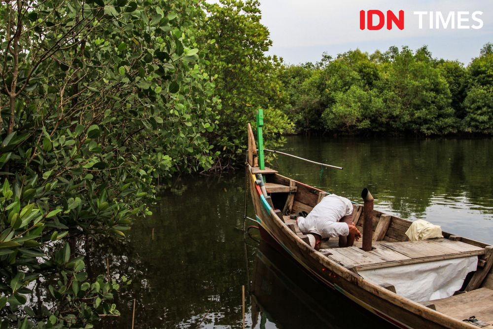 Sulap Sertifikat Lahan Mangrove Hutan Langkat