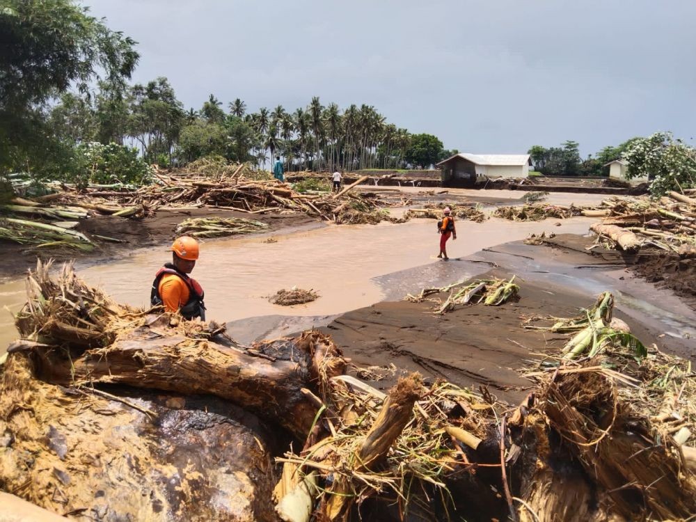 Bencana Parah di Bali, Tanda Hutan Sedang Tak Baik-baik Saja