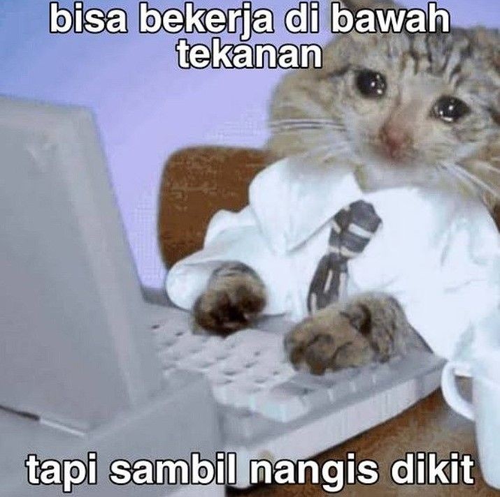 13 Meme Kocak Akan Kuhadapi Semuanya Ngakak Sambil Nangis