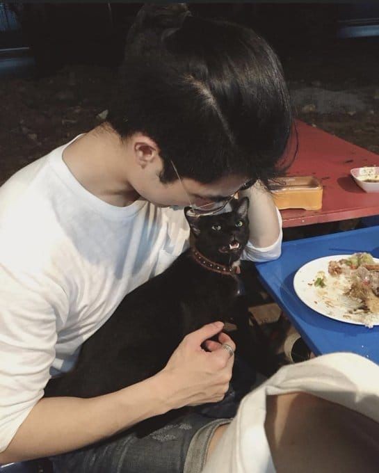 5 Artis Thailand Bersama Kucing Hitam, Gemas Banget!