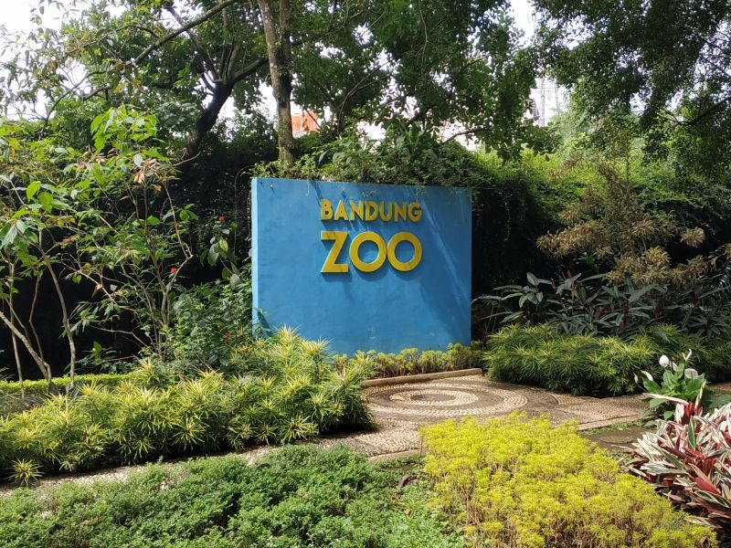 Puluhan Orang Kena Tipu Loker di Kebun Binatang Bandung
