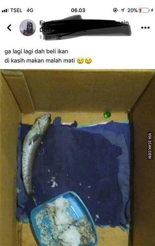 15 Potret Kocak Bapak Bapak Hobi Pelihara Ikan Lawak Pol