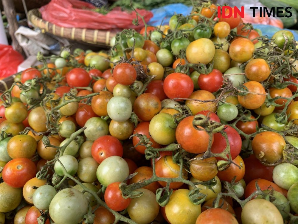 Harga Tomat Besar Meroket, Nyaris Dua Kali Lipat dari Harga Normal