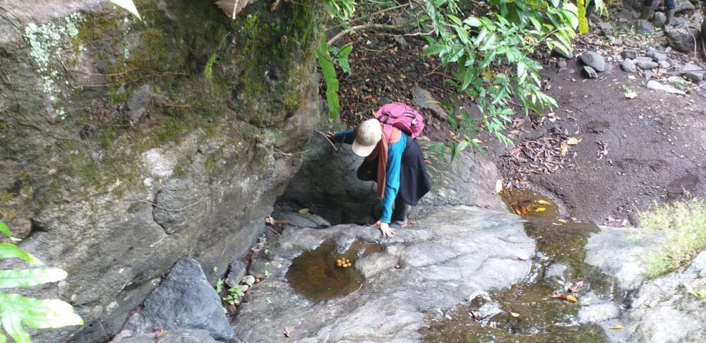 Lagi Susuri Gunung Celering, Petugas Temukan Kura-kura Bergerigi yang Nyaris Punah 