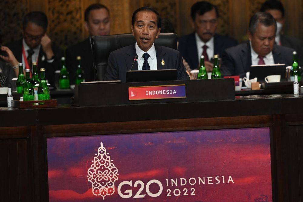 Indonesia, Global South, Dan Dukungan Bagi Negara Berkembang