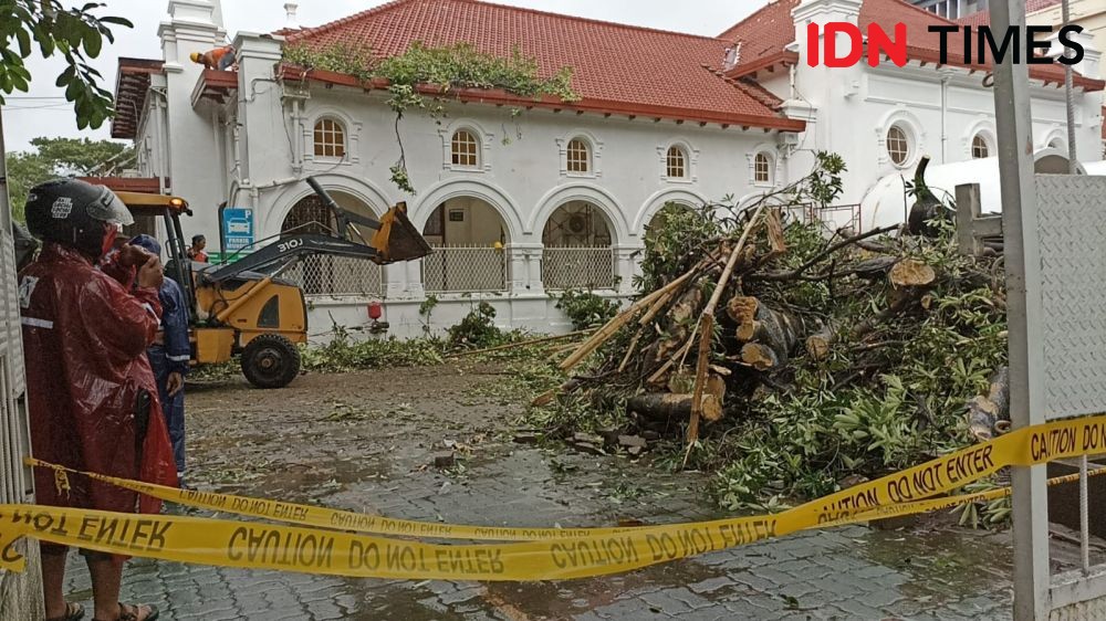 Hujan-Angin Kencang, Dua Orang di PN Makassar Tertimpa Pohon Tumbang