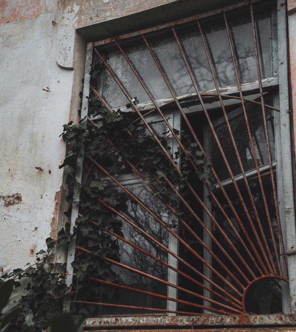 10 Model Teralis Jendela Minimalis Terbaru, Aman dan Elegan!