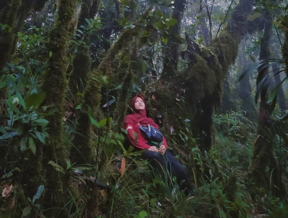 Gunung-Gunung dengan Panorama Indah dan Menakjubkan di Kaltim