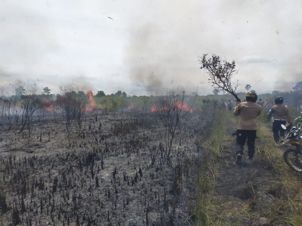Puluhan Hektare Hutan Way Kambas Terbakar, Pemadaman Api 18 Jam!