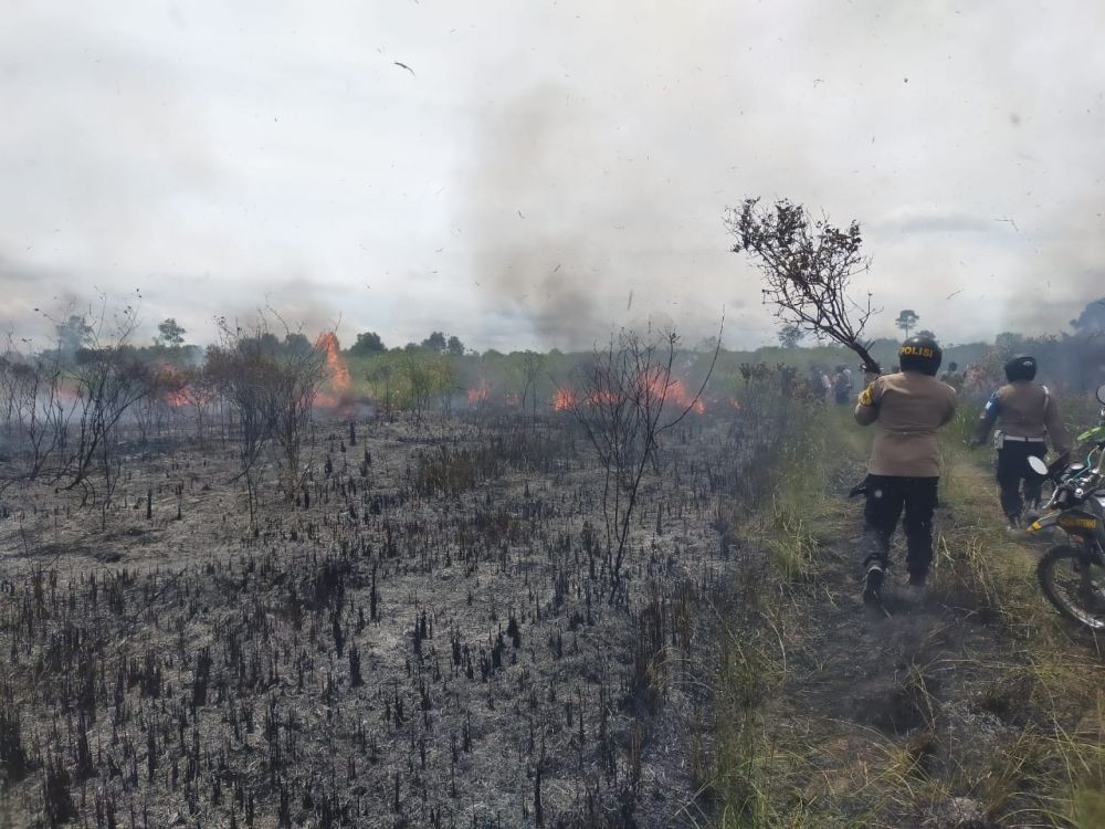 2.992 Hektare Hutan Lampung Terbakar, Terparah di Taman Way Kambas!