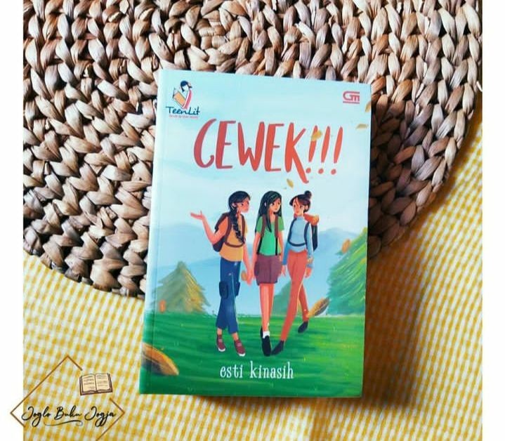 Rekomendasi Novel Teenlit Terbaik, Ceritanya Unik dan Lucu  