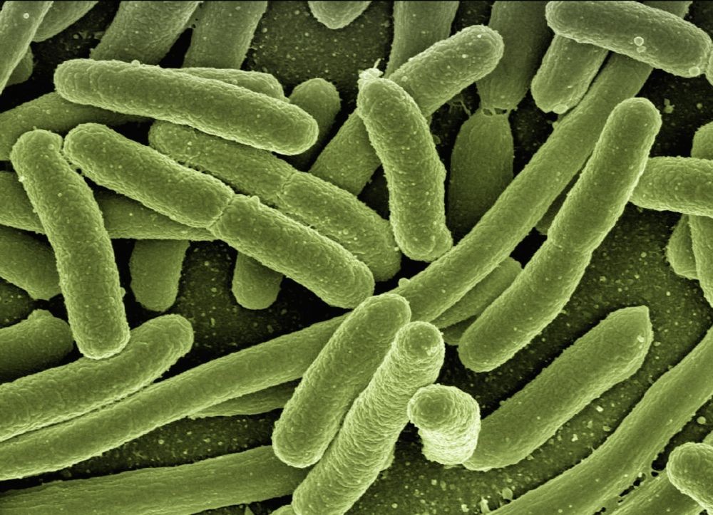 Infeksi Bakteri dan Virus, Apa Perbedaannya?