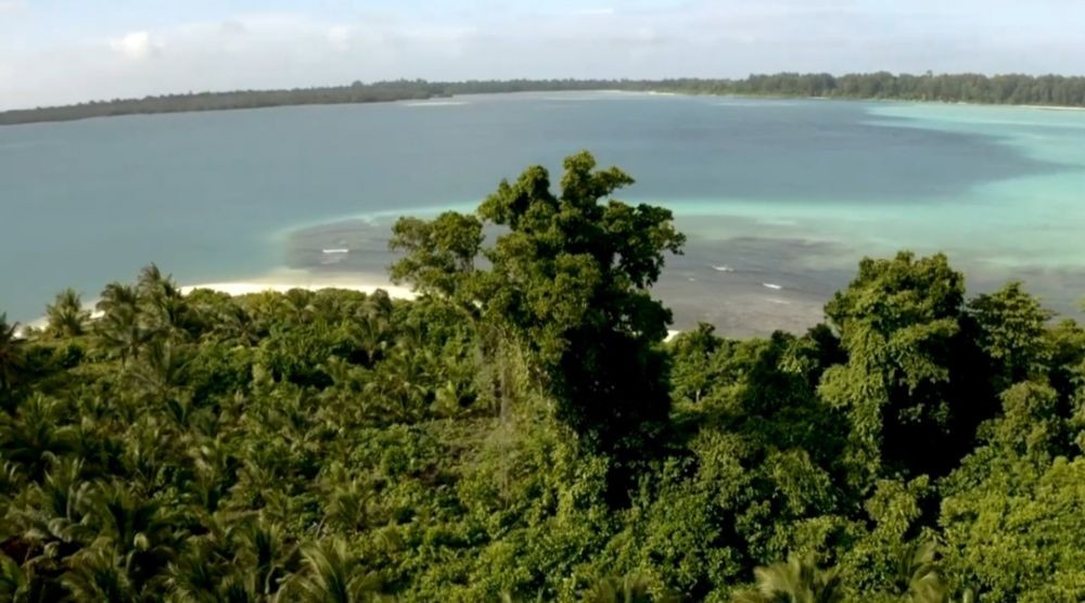 Lelang Kepulauan Widi, Jala Ina: Wujud Kelalaian Pemerintah