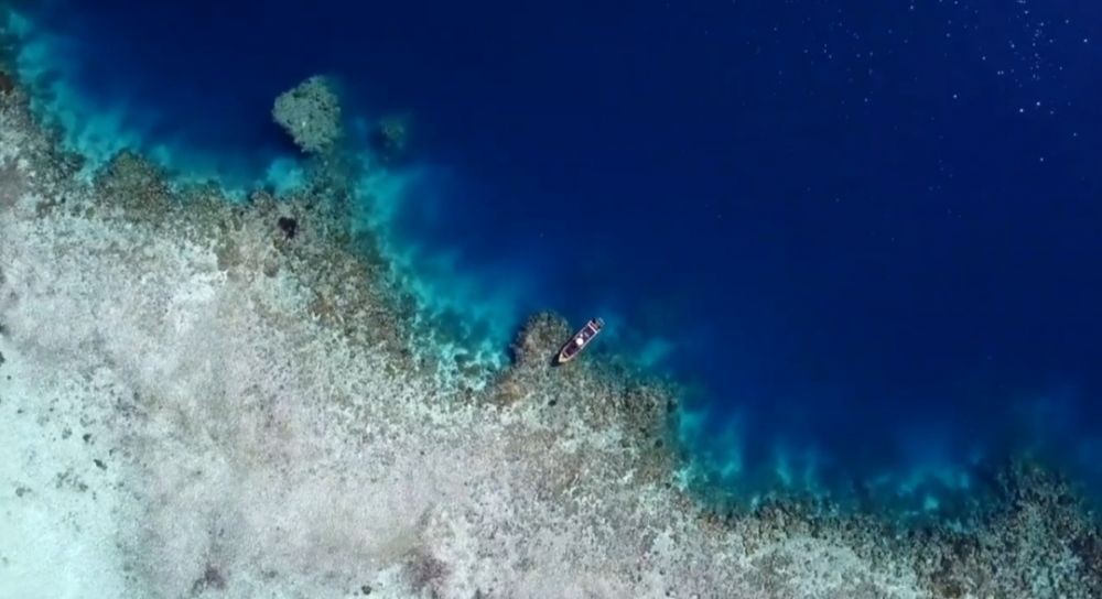 Lelang Kepulauan Widi, Jala Ina: Wujud Kelalaian Pemerintah