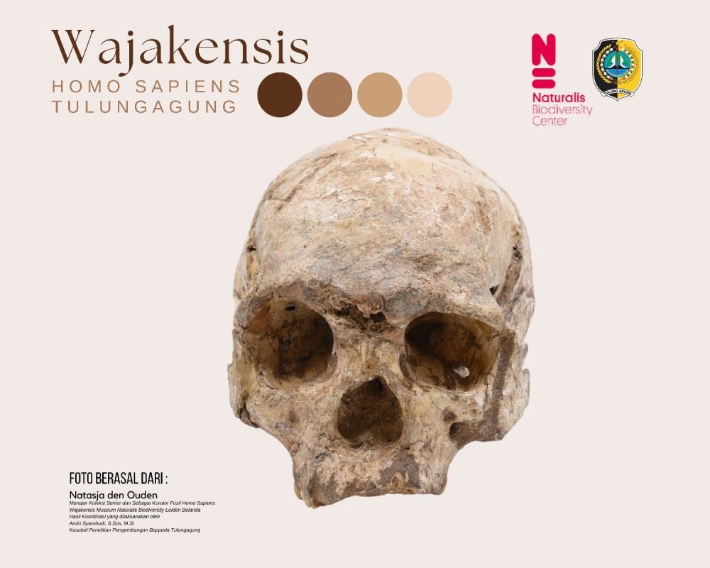 Sosok Eugene Dubois, Peneliti Homo Wajakensis di Tulungagung