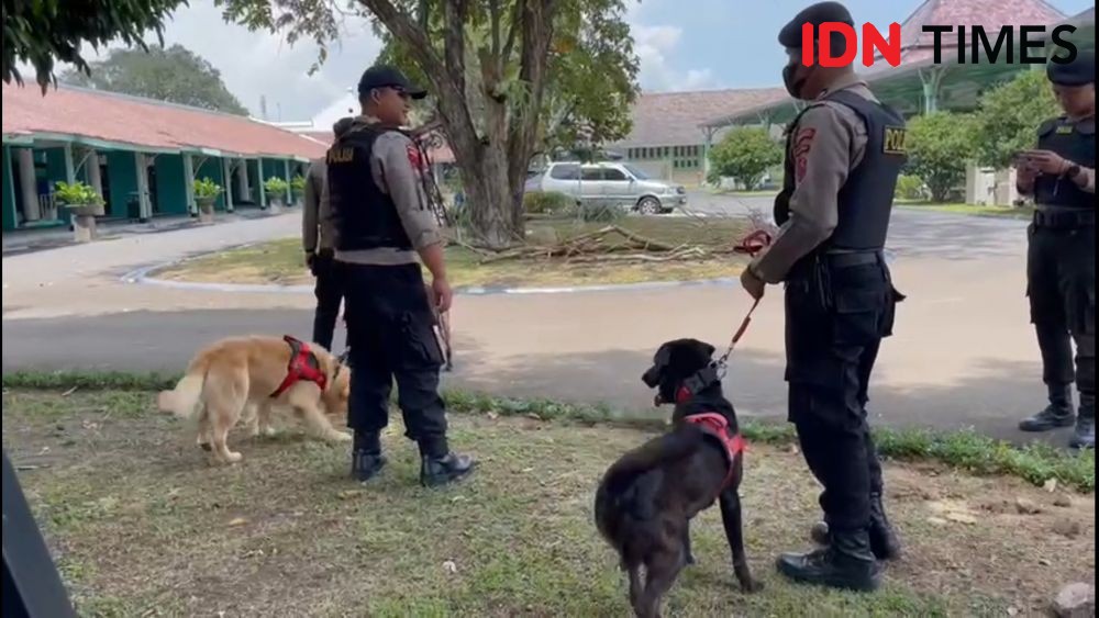 11 Anjing Ras K9 Ikut Terlibat Dalam Pengamanan Nikahan Kaesang
