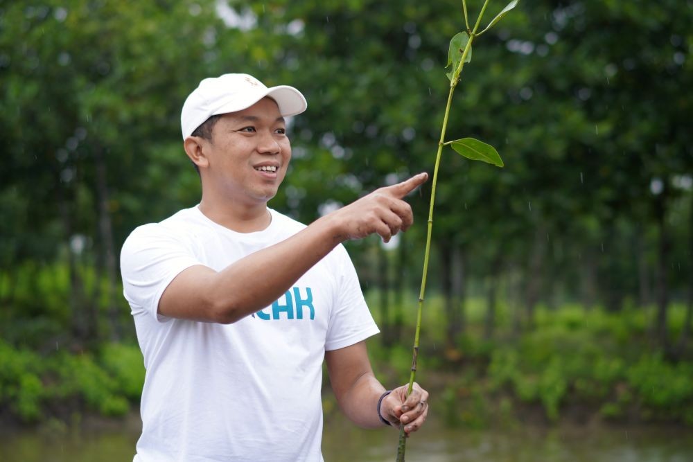Lestarikan Ekosistem Pesisir, 1.000 Bibit Mangrove Ditanam di Belawan