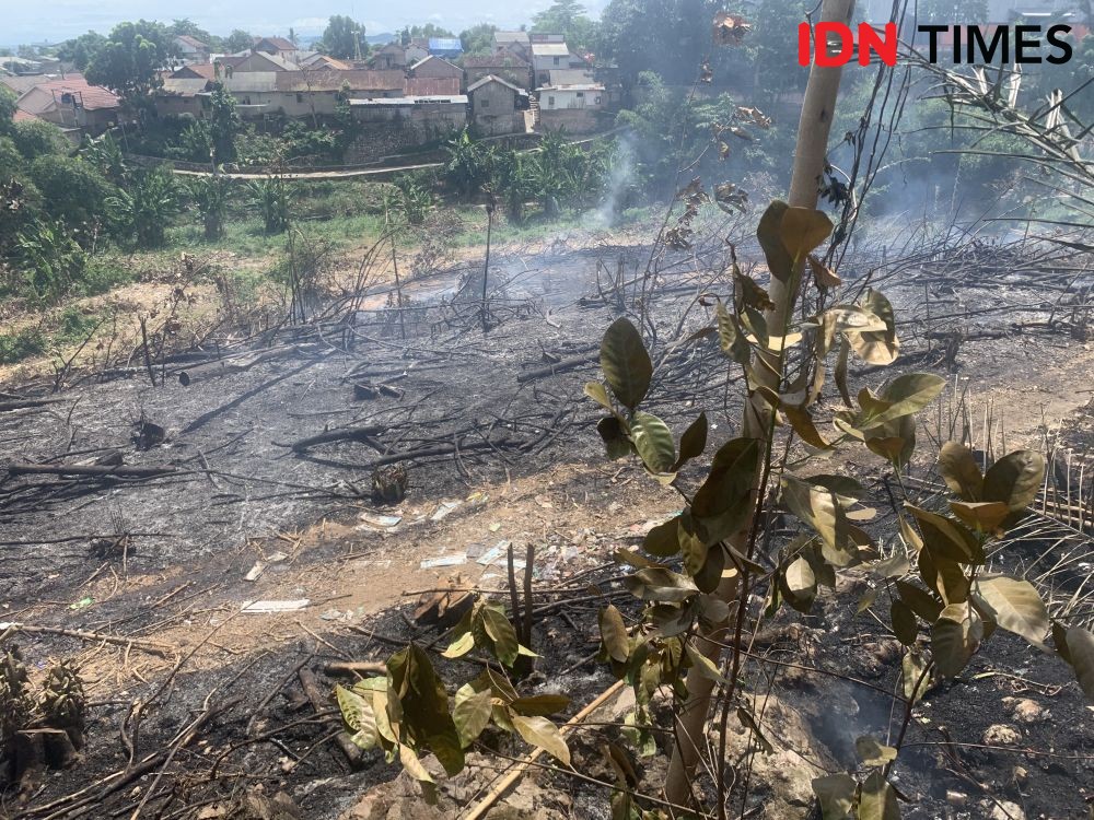 Lahan 1.000 Meter Persegi di Bandar Lampung Ludes Terbakar