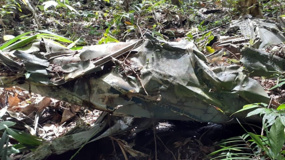 Bangkai Pesawat Zaman Perang Dunia II Ditemukan di Hutan Kotabaru
