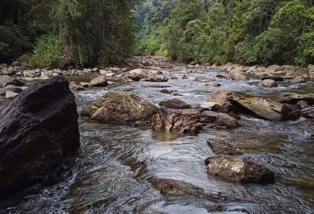 5 Lokasi di Taman Nasional Gunung Leuser Jadi Pilihan Destinasi Wisata