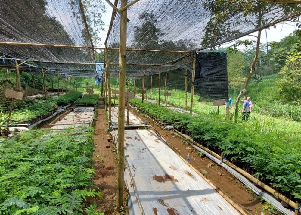 [OPINI] Penggunaan PLTS untuk Green House Kebun Bibit di Desa Manggihan Kabupaten Semarang