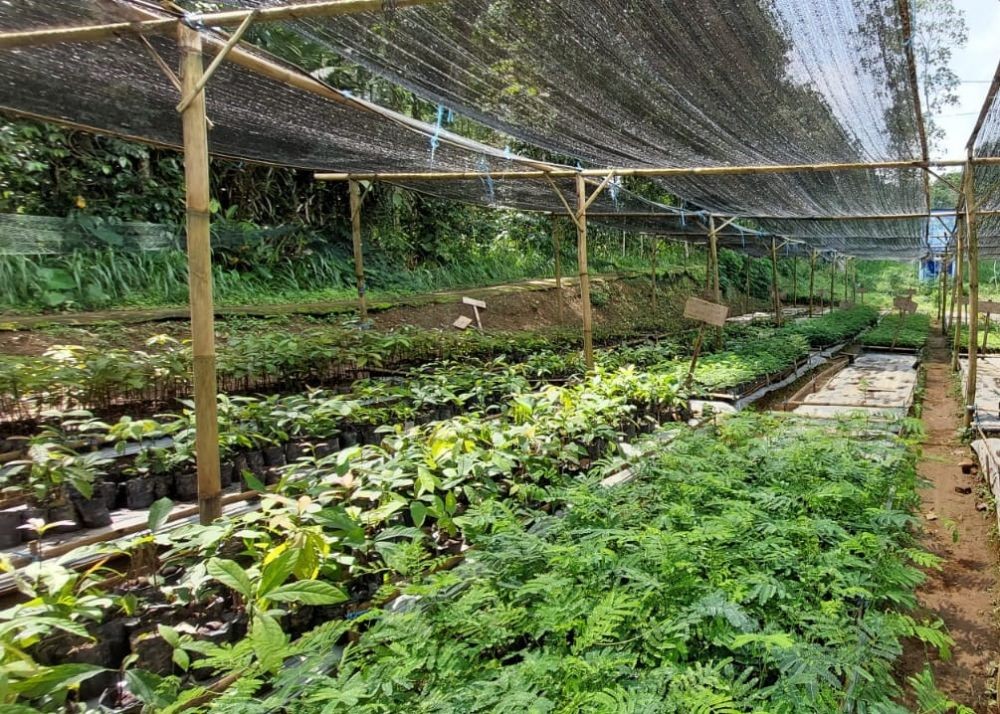 [OPINI] Penggunaan PLTS untuk Green House Kebun Bibit di Desa Manggihan Kabupaten Semarang