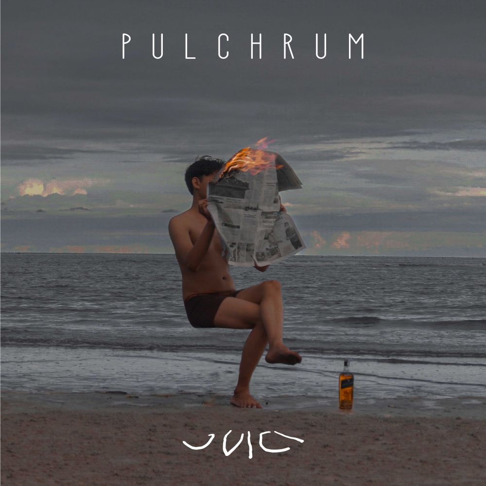 Menyimak Kebisingan JVICI dalam Album Debut PULCHRUM