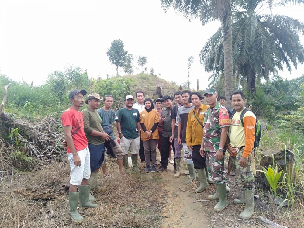 Masuk Perangkap, Harimau Sumatra Dievakuasi di Langkat